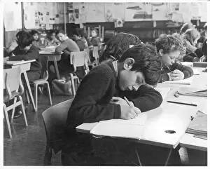 S.b. Davie: PRIMARY SCHOOL TEST