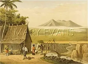 Rudimentary: PRIMITIVE BRIDGE JAVA