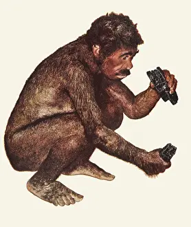 Fossils: Primitive Man holding Lumps of Coal