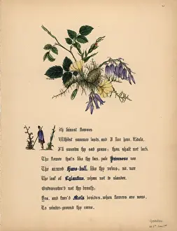 Eglantine: Primrose, Hare-bell, Eglantine and Moss (Cymbeline)