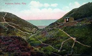 Primrose: Primrose Valley, Filey, North Yorkshire
