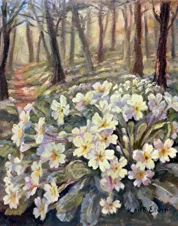 Clump: Primrose Wood