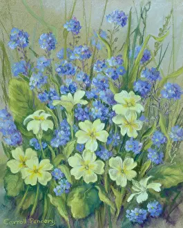 Nots: Primroses and Forget-me-Nots