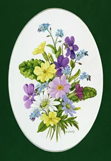 Primroses, forget-me-nots, anemones, etc