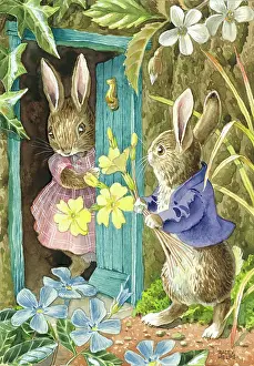 Racey: Primroses for a Lady - rabbit at front door