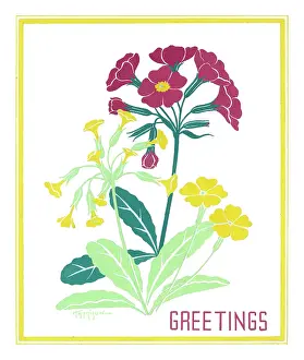 Cowslips: Primroses, polyanthus and cowslips