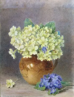 Hardwick: Primroses in Pottery Jug with violets beside