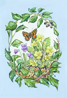 Tortoiseshell: Primroses, violets and butterfly in an oval of ivy