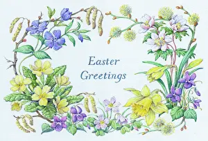 Ladys: Primroses, violets, daffodils, periwinkles, etc