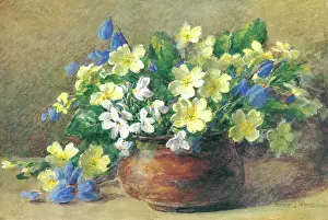 Pressland: Primroses, Violets & Scillas