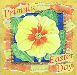 Primula with Easter Day