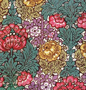 Primrose: Primula Floral