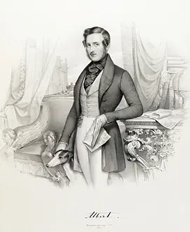 Castle Howard Collection: Prince Albert
