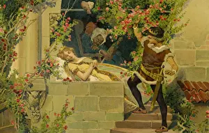 Awakens: The Prince awakens Sleeping Beauty