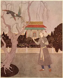Nov23: Prince Camaralzaman and the Birds