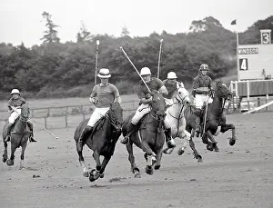 Ambersham: Prince Charles in action Ambersham
