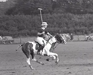 Ambersham: Prince Charles in in action on Ambersham ground