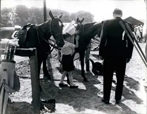 Wipe: Prince Charles at polo event, Windsor