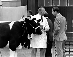 Heifer: Prince Charles at the Royal Cornwall Show