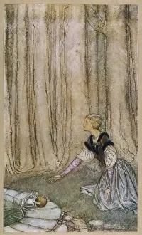 Princesss: PRINCE TO FROG (2)