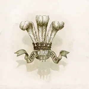 Dien: Prince Wales Feathers