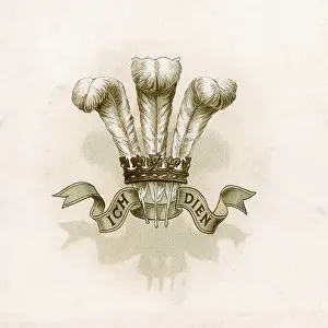 Dien: Prince Wales Feathers