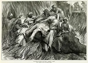 Padding: Prince of Wales tiger shooting 1876