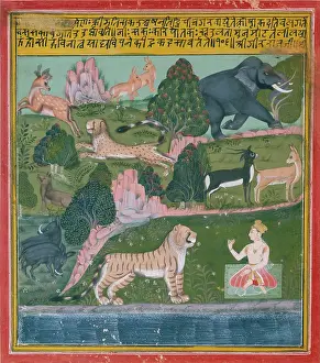 Mewar: A Princely Saint amongst Animals