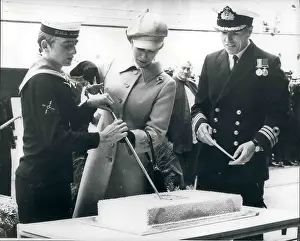 Bingham: Princess Anne at commissioning of HMS Amazon