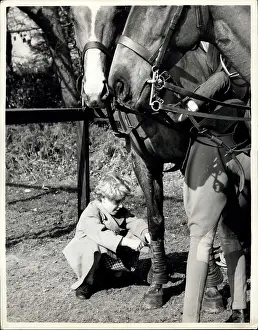 Adjust: Princess Anne with polo ponies, Windsor