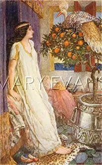 Babylonia: PRINCESS OF BABYLON