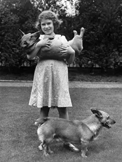 Corgis: Princess Elizabeth and corgis Jane and Dookie