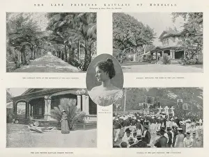 Interests: PRINCESS KA-IULANI
