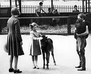 Stroking: Princess Margaret