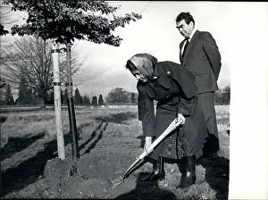 Shovels: Princess Margaret plants tree for Silver Jubilee, Windsor
