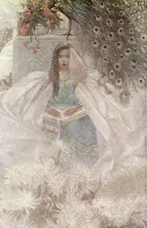 Stilwell: The Princess Pourquoi