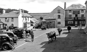 Tavistock: Princetown, Tavistock Road c1955