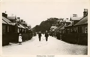 Thornhill: Pringleton