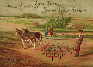 Mule: Print of a boy with a harrow in an Eureka Mower Company