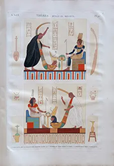Morel: Print, Description of Egypt, Bibliotheque du Senat