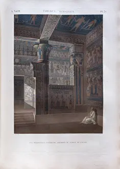 Morel: Print, Description of Egypt, Bibliotheque du Senat