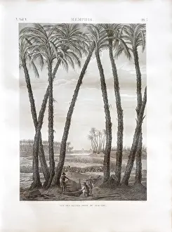Morel: Print, Description of Egypt, Bibliotheque du Senat
