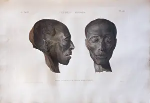 Morel: Print, Description of Egypt, Bibliotheque du Senat