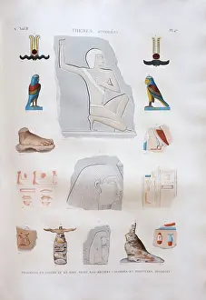 Morel: Print, Description of Egypt, Bibliotheque du Senat
