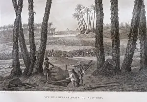 Morel: Print, Description of Egypt, Bibliotheque du Senat