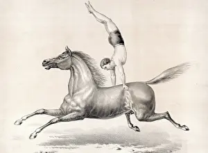 Acrobatic: Print of a male circus performer doing a handstand