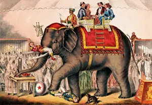 Alertness: Print of men performing a circus act with an elephant