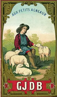 Lambs: Printer's Sample, Aux Petits Agneaux