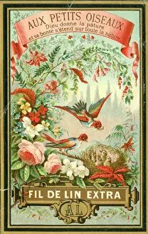 Chicks: Printer's Sample, Aux Petits Oiseaux