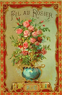 Rosier: Printer's Sample, Fil au Rosier